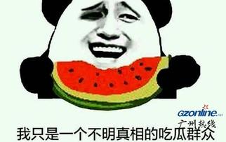 在线吃瓜群众什么意思